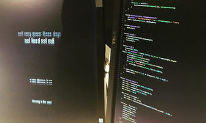 Vocable Code (13082018) at Electronic Literature Festival, Montreal